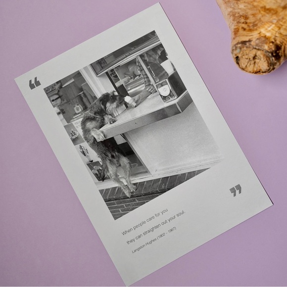 Quote Unquote All Occasions Card by Borealis Press - Picture 2 of 13